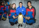 . FIDE Women Grand Prix, .  