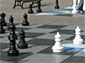 <h1> :<br>-2008:   </h1>